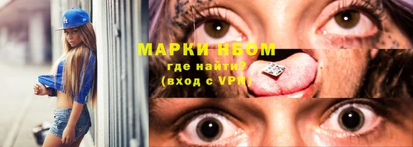 шишки Гусев