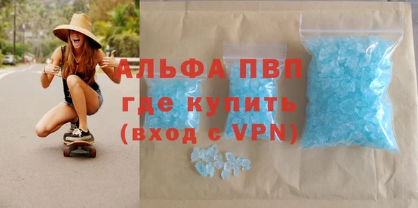 шишки Гусев