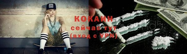 шишки Гусев