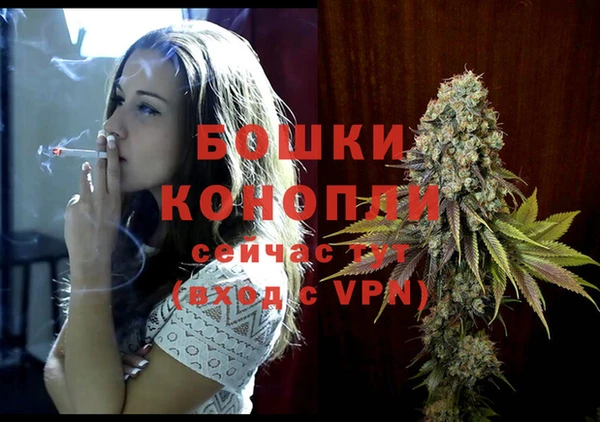 шишки Гусев