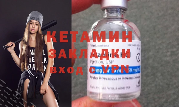 шишки Гусев