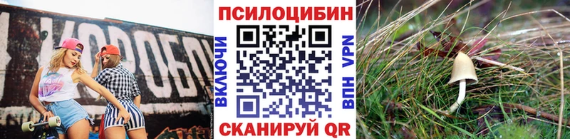 Псилоцибиновые грибы Magic Shrooms  Купить где  Шиханы 
